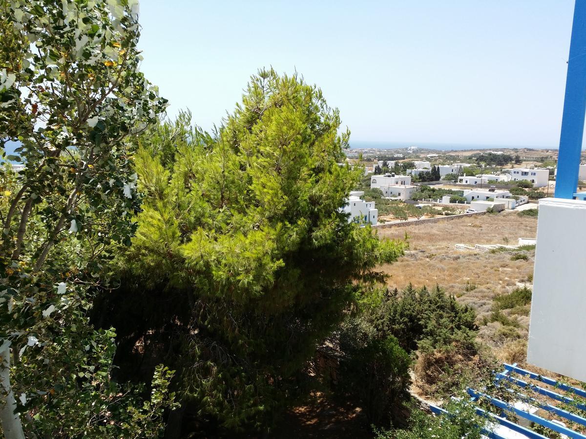 Studios Panorama Drios Exteriér fotografie